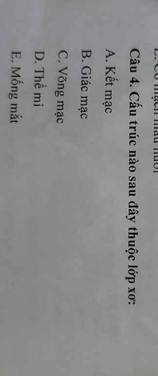 img-question-file