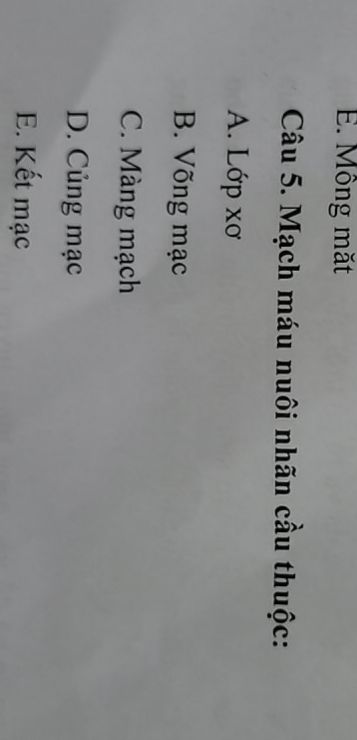 img-question-file