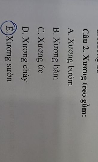 img-question-file