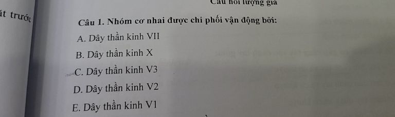 img-question-file