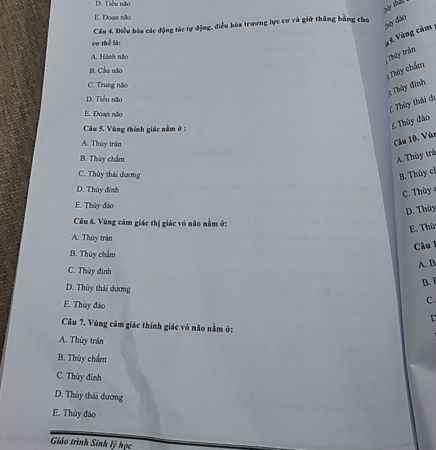 img-question-file