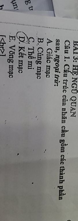 img-question-file