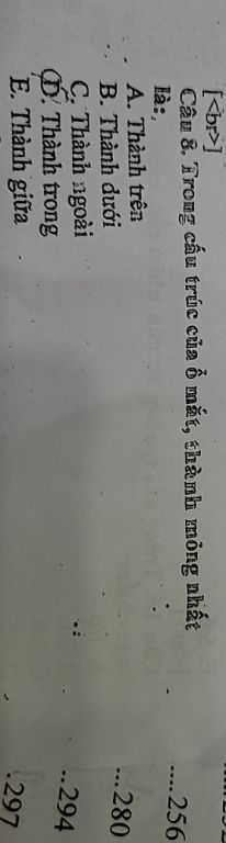 img-question-file