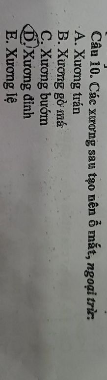 img-question-file