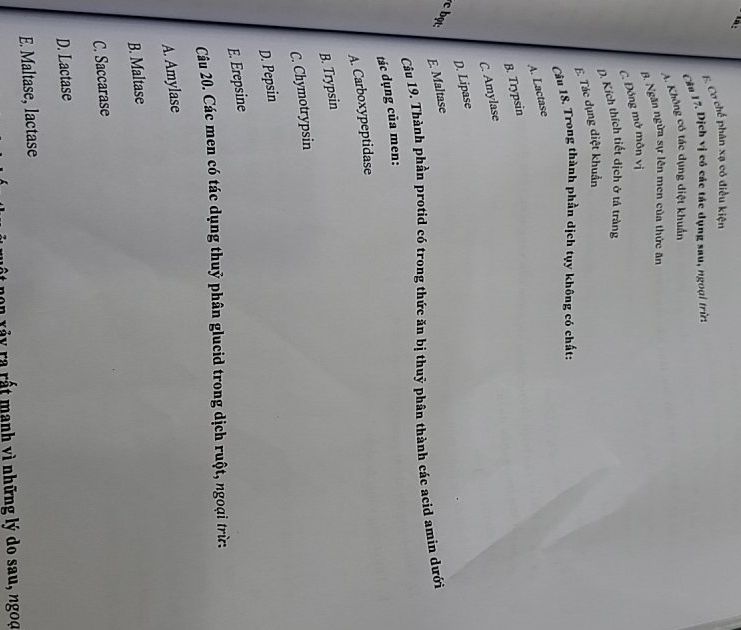 img-question-file