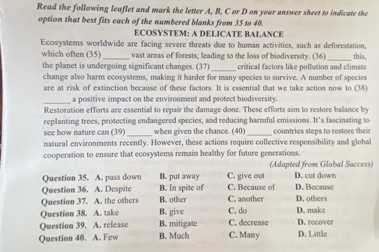 img-question-file