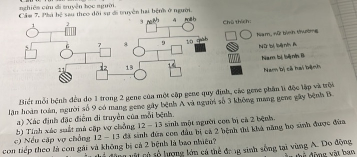 img-question-file