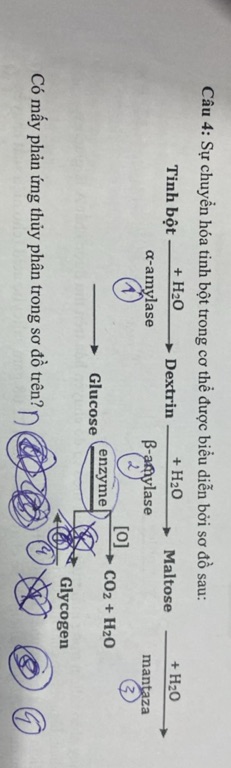 img-question-file