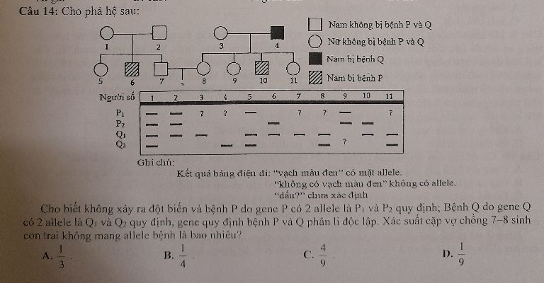 img-question-file