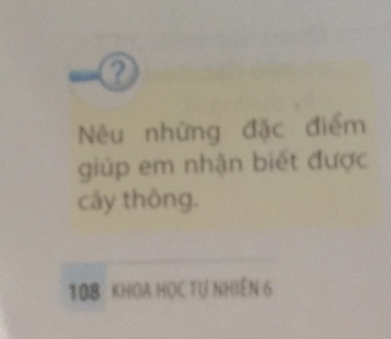 img-question-file