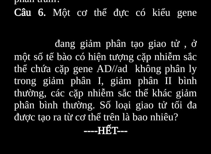 img-question-file
