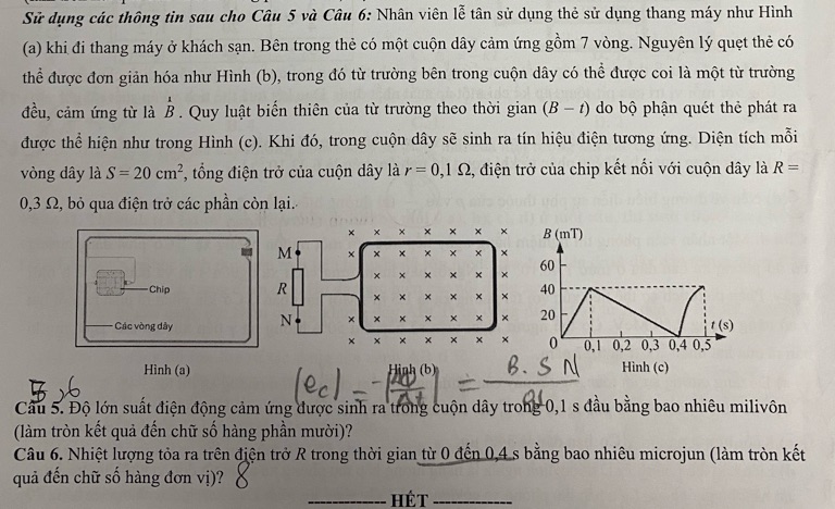 img-question-file