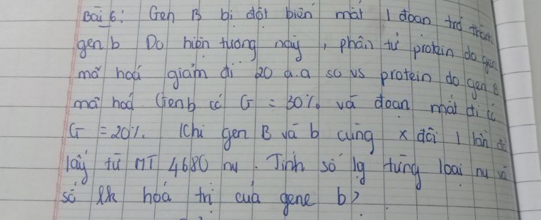 img-question-file