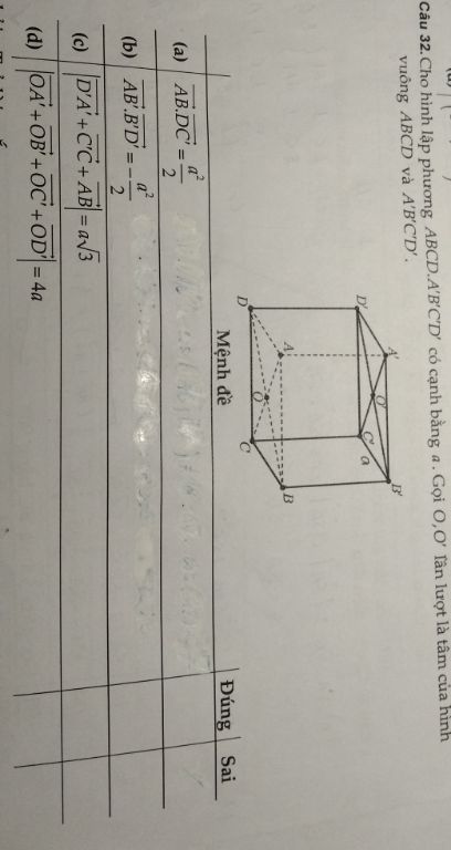 img-question-file