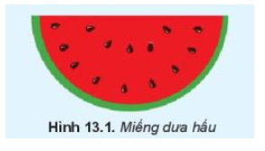 Khởi đầu năm học mới là thời điểm tuyệt vời để khám phá và rèn luyện kỹ năng của mình, đặc biệt là khi vẽ bông hoa. Hãy xem ảnh và khám phá cách tạo ra những bông hoa đẹp mắt bằng cách sử dụng sự sáng tạo và kỹ năng vẽ của bạn. Hãy bắt đầu khám phá tài năng vẽ tranh của bạn từ lớp 3!