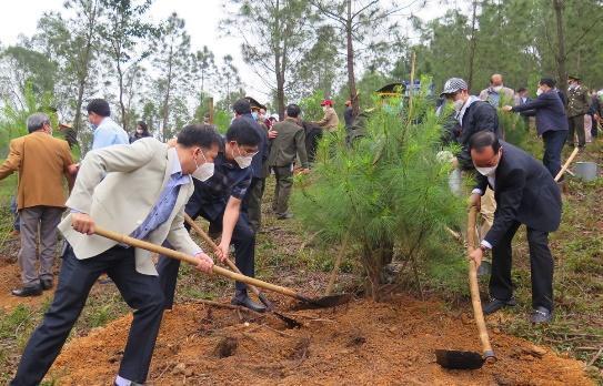Trồng cây gây rừng: Bộ TN-MT sẽ tôn vinh các sáng kiến, cách làm hay | Môi trường | Vietnam+ (VietnamPlus)
