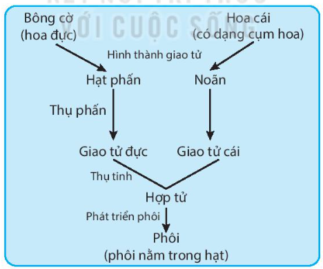 DiagramDescription automatically generated