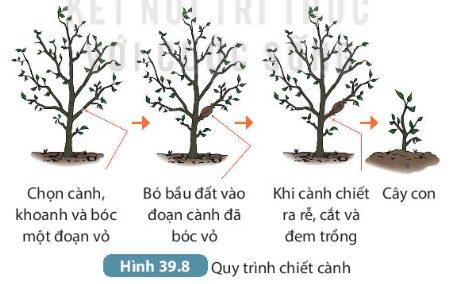 DiagramDescription automatically generated