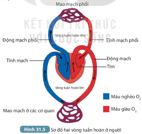 DiagramDescription automatically generated