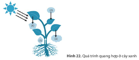 A picture containing diagramDescription automatically generated