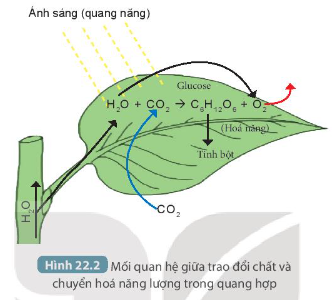 DiagramDescription automatically generated