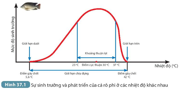 A picture containing chartDescription automatically generated