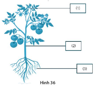 DiagramDescription automatically generated