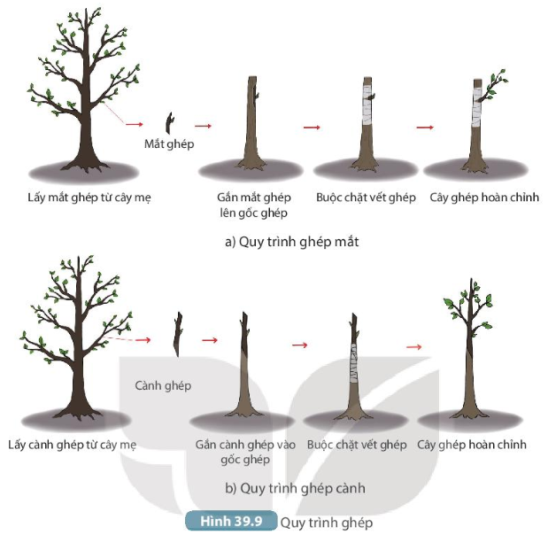 DiagramDescription automatically generated