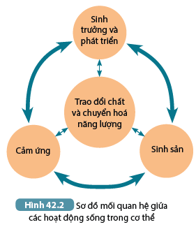 DiagramDescription automatically generated