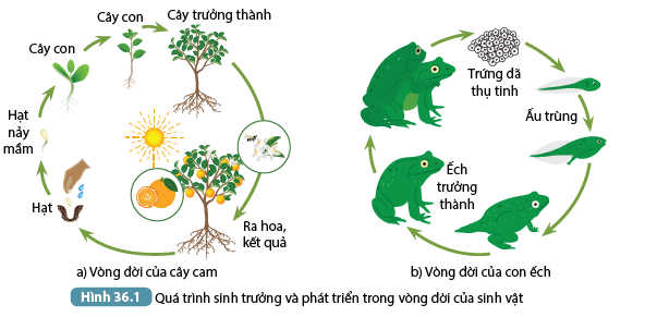 DiagramDescription automatically generated