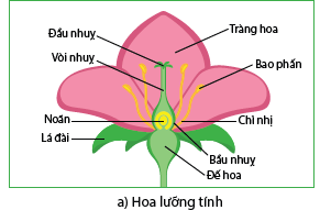 DiagramDescription automatically generated