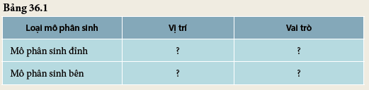 TableDescription automatically generated