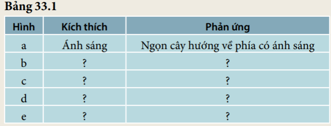 TableDescription automatically generated