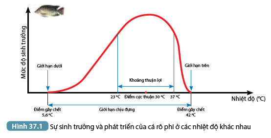 A picture containing diagramDescription automatically generated