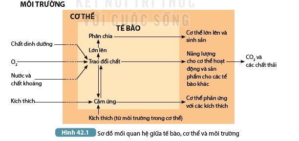 DiagramDescription automatically generated