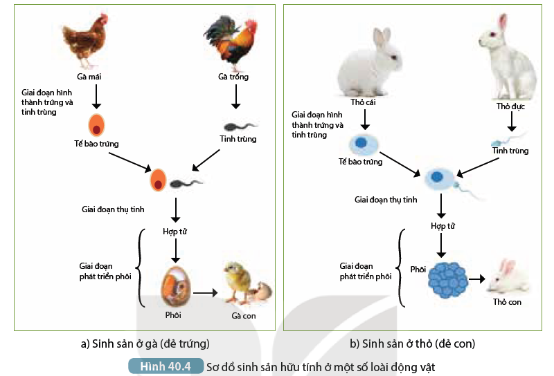 DiagramDescription automatically generated