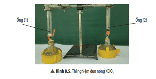 cau-hoi-thao-luan-9-trang-41-khtn-8-ket-noi.png