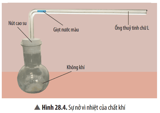 cau-hoi-thao-luan-trang-130-khtn-8-chan-troi-176149.png