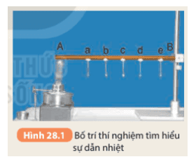 hoat-dong-1-trang-112-khtn-8-ket-noi.png