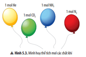 cau-hoi-thao-luan-5-trang-29-khtn-8-ket-noi.png