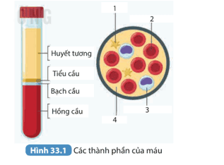 cau-hoi-1-trang-135-khtn-8-ket-noi.png