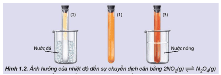 thi-nghiem-1-trang-10-hoa-hoc-11-1.png