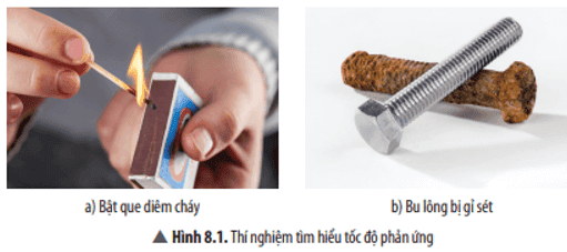 cau-hoi-thao-luan-1-trang-39-khtn-8-ket-noi.png