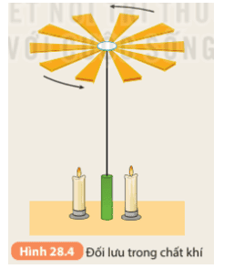 cau-hoi-2-trang-114-khtn-8-ket-noi.png