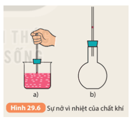 hoat-dong-4-trang-120-khtn-8-ket-noi.png