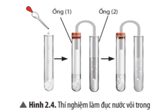 cau-hoi-thao-luan-6-trang-17-khtn-8-ket-noi.png