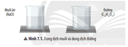 cau-hoi-thao-luan-1-trang-35-khtn-8-ket-noi.png