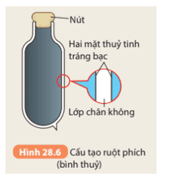 cau-hoi-6-trang-115-khtn-8-ket-noi.png