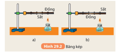 cau-hoi-1-trang-119-khtn-8-ket-noi.png