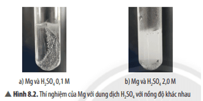 cau-hoi-thao-luan-3-trang-40-khtn-8-ket-noi.png
